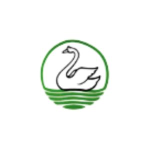 Image presents White Swan-logo
